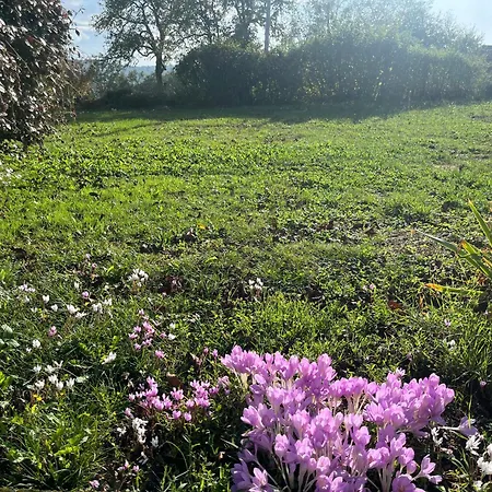 Fleurs Sauvages A Rebeuse New Hosts Full Of Nature