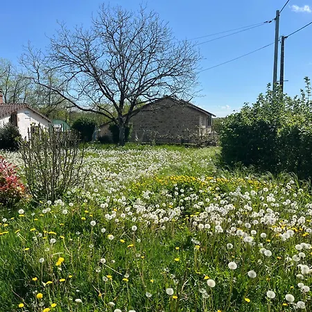 Fleurs Sauvages A Rebeuse New Hosts Full Of Nature Apartman Corgnac-sur-l'Isle