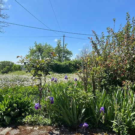 아파트 Fleurs Sauvages A Rebeuse New Hosts Full Of Nature Corgnac-sur-l'Isle