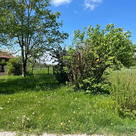 Fleurs Sauvages A Rebeuse New Hosts Full Of Nature *