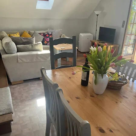 Fleurs Sauvages A Rebeuse New Hosts Full Of Nature Appartement Corgnac-sur-l'Isle