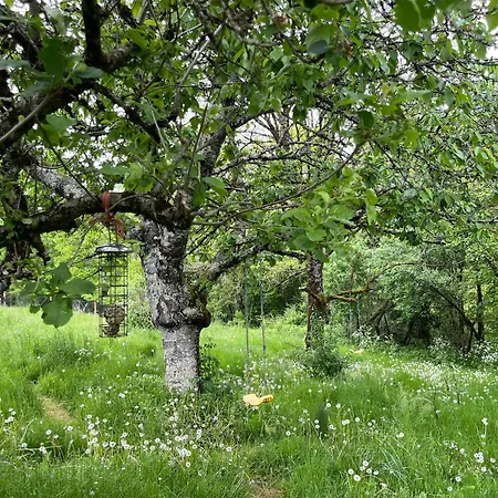 Apartman Fleurs Sauvages A Rebeuse New Hosts Full Of Nature *