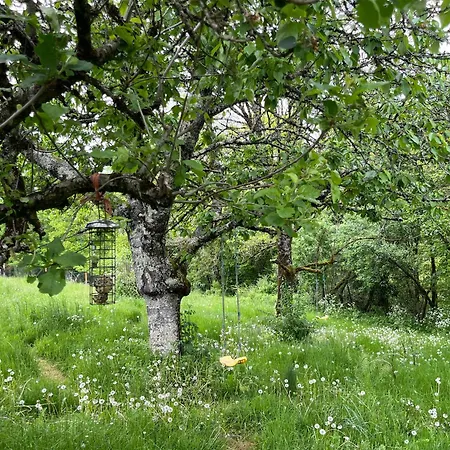 아파트 Fleurs Sauvages A Rebeuse New Hosts Full Of Nature *
