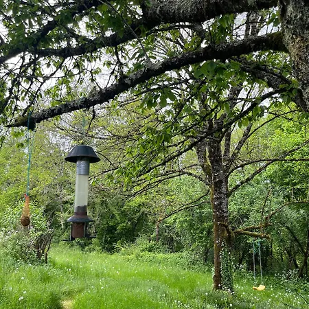 公寓 Fleurs Sauvages A Rebeuse New Hosts Full Of Nature